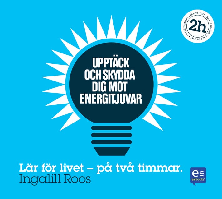 Ingalill Roos - Upptäck och skydda dig mot energitjuvar : på en timme