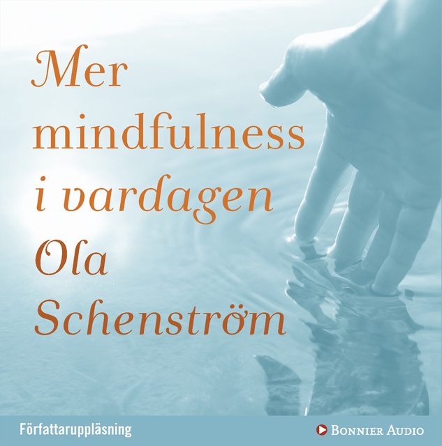 Ola Schenström - Mer mindfulness i vardagen