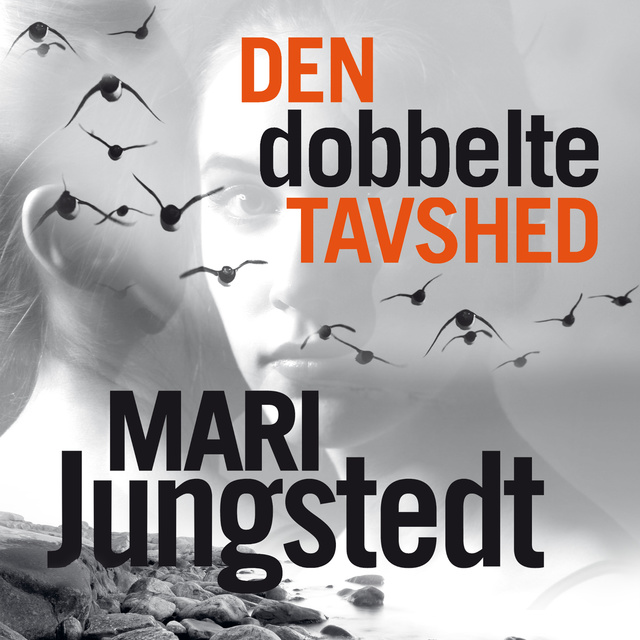 Mari Jungstedt - Den dobbelte tavshed
