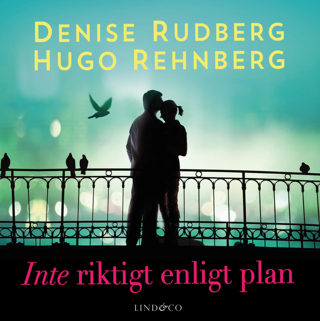 Denise Rudberg, Hugo Rehnberg - Inte riktigt enligt plan