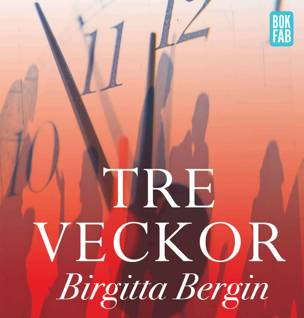 Birgitta Bergin - Tre veckor
