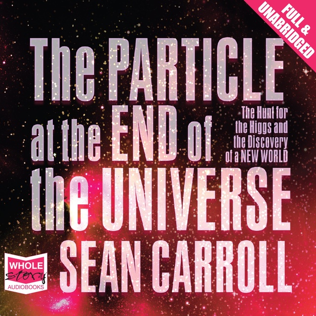Sean Carroll - The Particle at the End of the Universe
