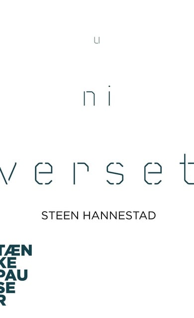 Steen Hannestad - Universet