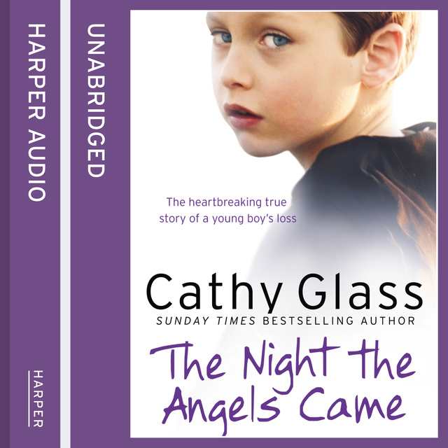 Cathy Glass - The Night the Angels Came