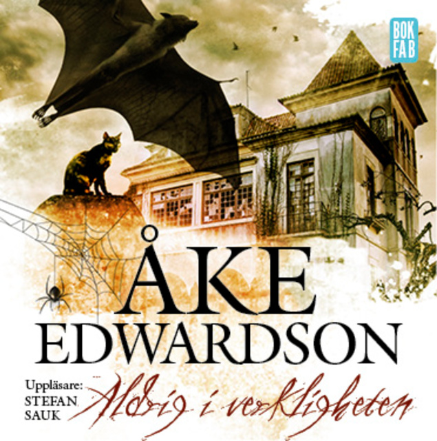 Åke Edwardson - Aldrig i verkligheten