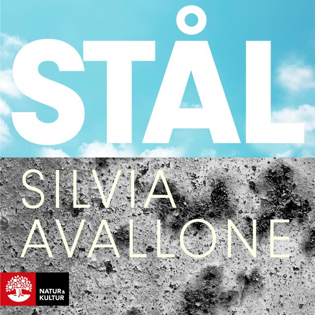 Silvia Avallone - Stål