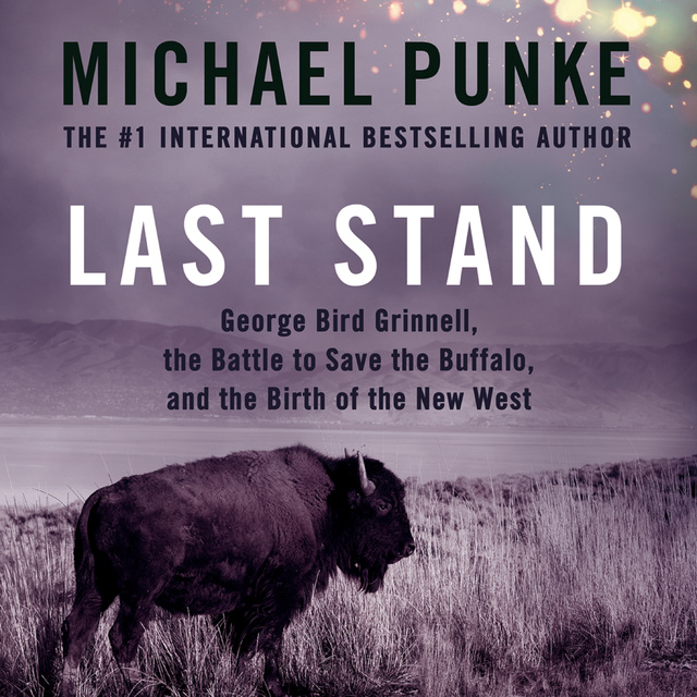 Michael Punke - Last Stand