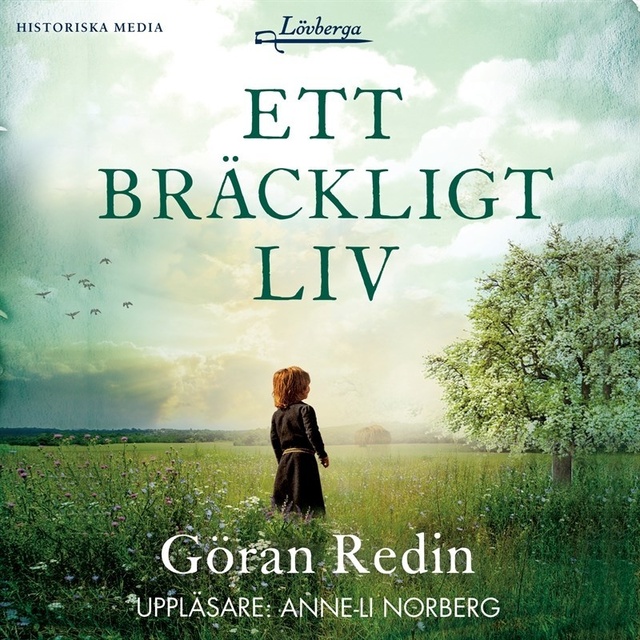 Göran Redin - Ett bräckligt liv