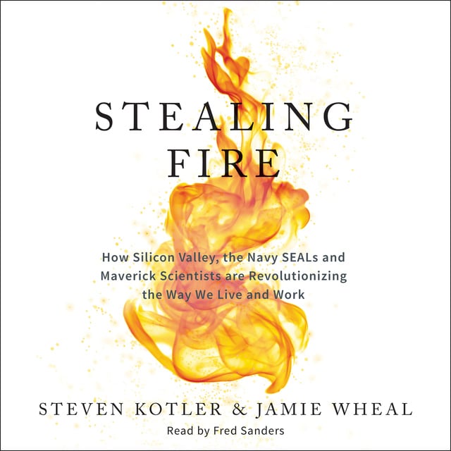 Steven Kotler, Jamie Wheal - Stealing Fire
