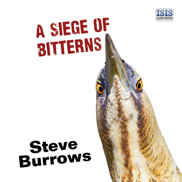 Steve Burrows - A Siege of Bitterns