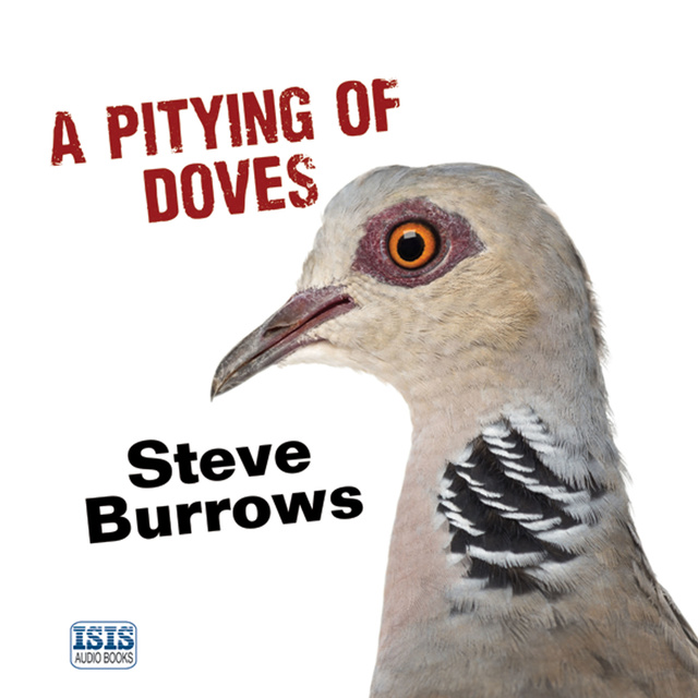 Steve Burrows - A Pitying of Doves
