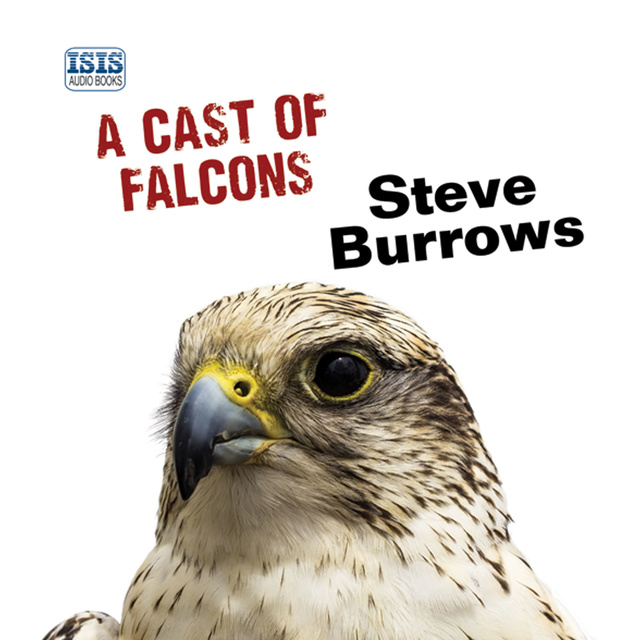 Steve Burrows - A Cast of Falcons