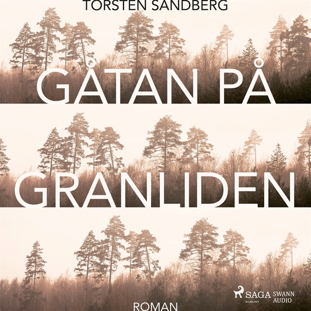 Torsten Sandberg - Gåtan på Granliden