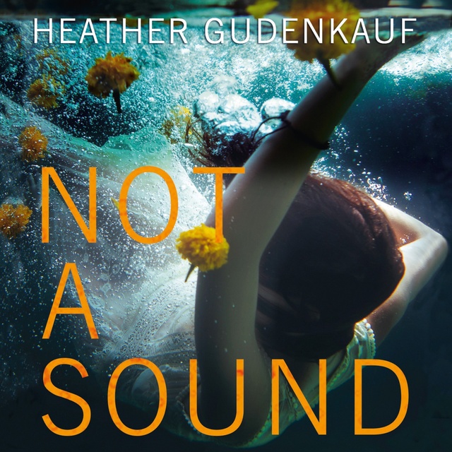 Heather Gudenkauf - Not a Sound