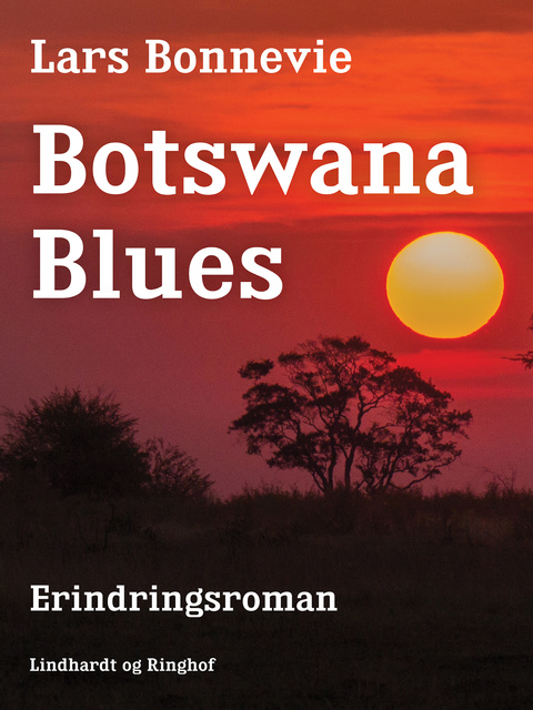 Lars Bonnevie - Botswana blues