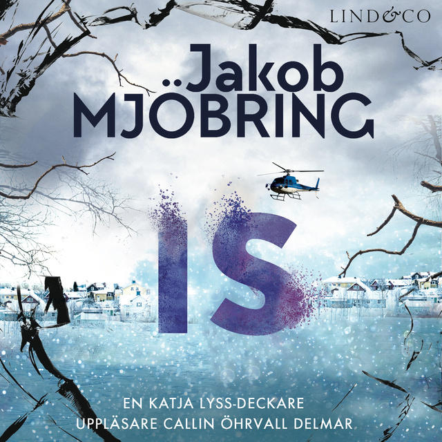 Jakob Mjöbring - Is