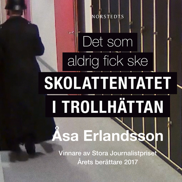 Åsa Erlandsson - Det som aldrig fick ske