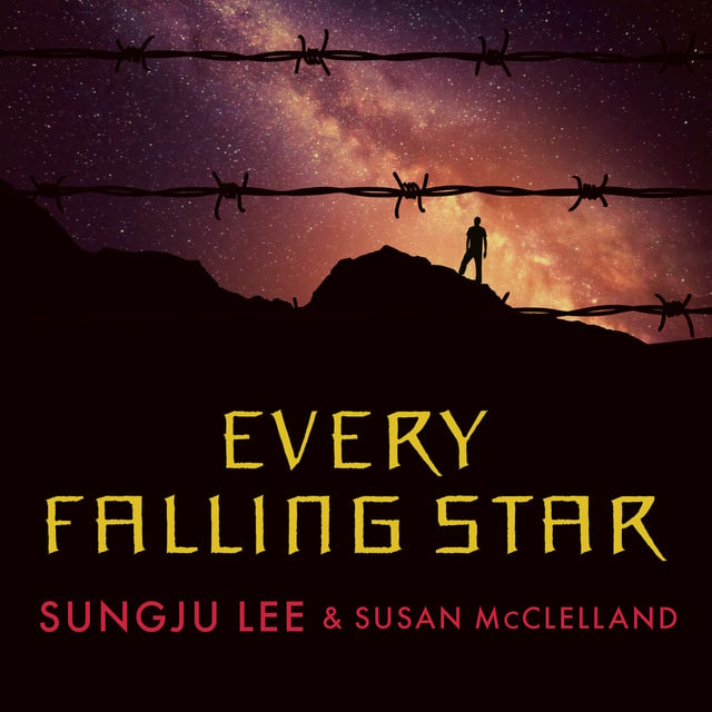 Sungju Lee, Susan McClelland - Every Falling Star
