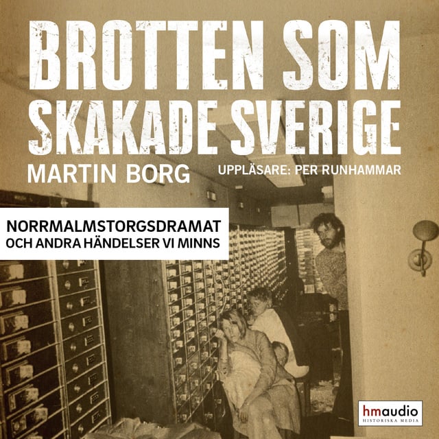 Martin Borg - Brotten som skakade Sverige. Norrmalmstorgsdramat och andra händelser vi minns
