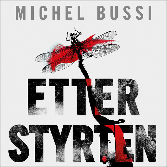 Michel Bussi - Etter styrten