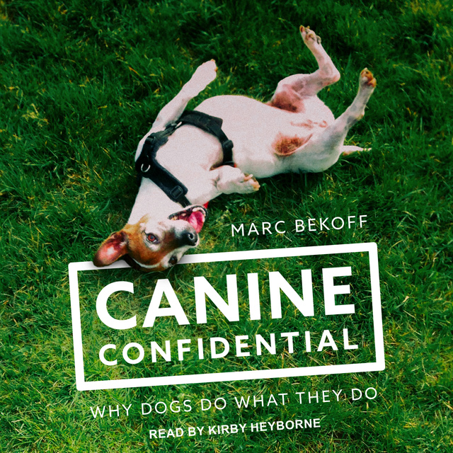 Marc Bekoff - Canine Confidential: Why Dogs Do What They Do