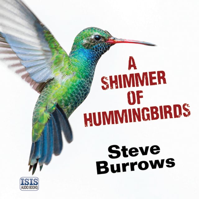Steve Burrows - A Shimmer of Hummingbirds