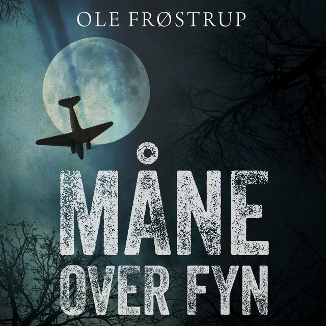 Ole Frøstrup - Måne over Fyn