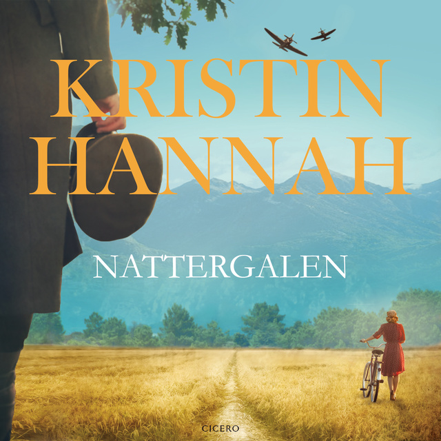 Kristin Hannah - Nattergalen