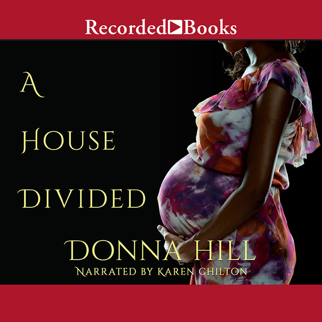 Donna Hill - A House Divided