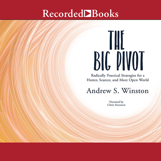 Andrew Winston - The Big Pivot