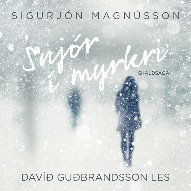 Sigurjón Magnússon - Snjór í myrkri