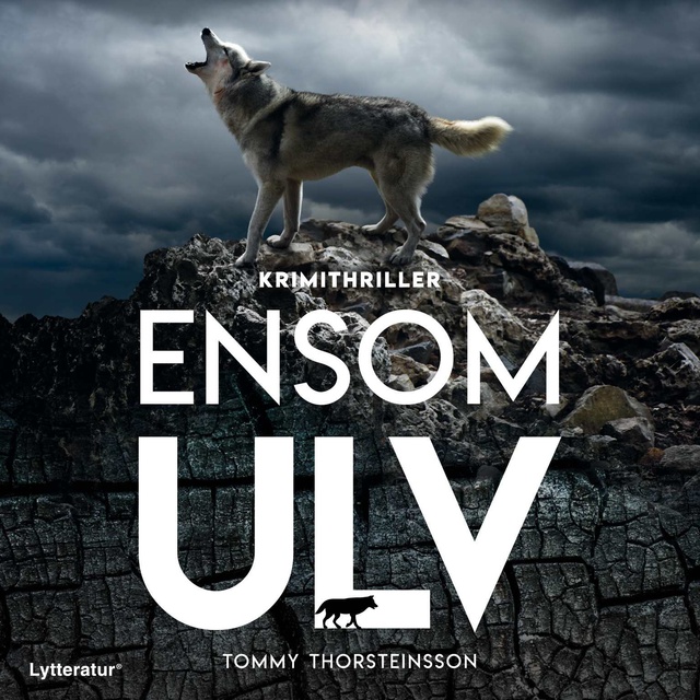Tommy Thorsteinsson - Ensom ulv