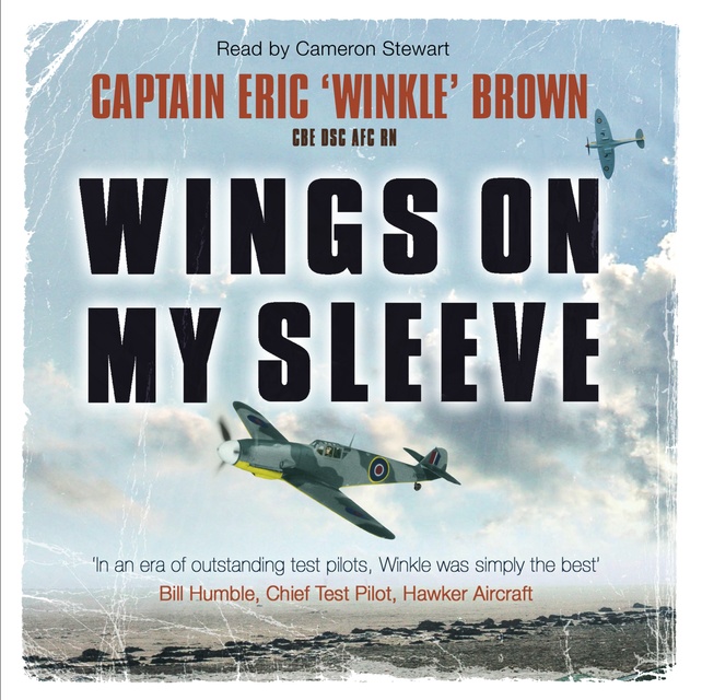 Eric Brown - Wings on My Sleeve