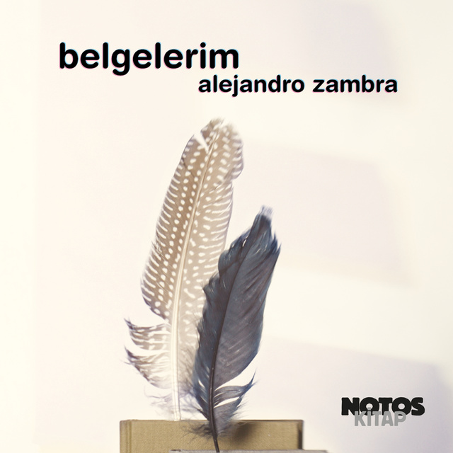 Alejandro Zambra - Belgelerim