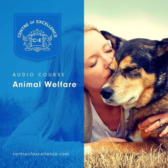 Centre of Excellence - Animal Welfare