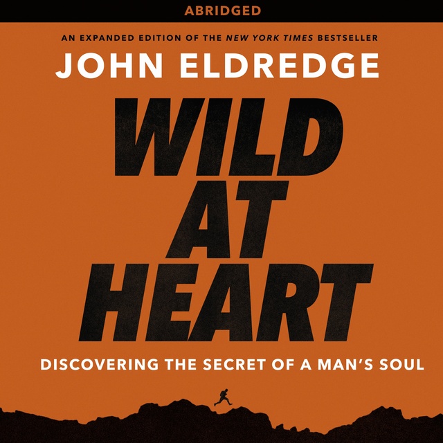 John Eldredge - Wild at Heart