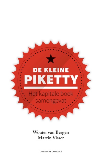 Wouter van Bergen, Martin Visser - De kleine Piketty: Het kapitale boek samengevat