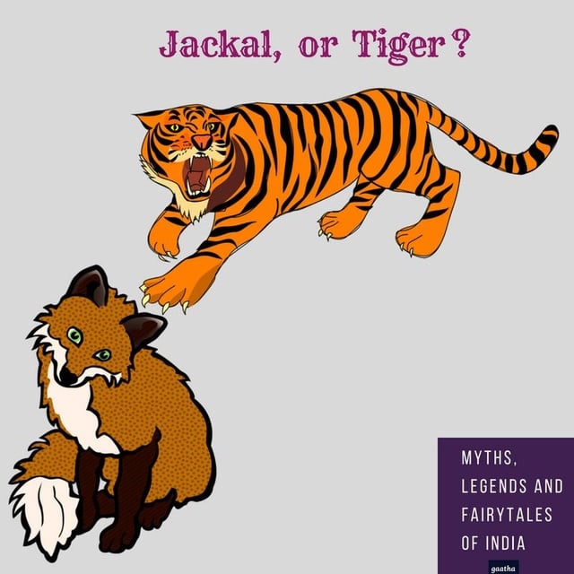 Amar Vyas - Jackal, or Tiger?