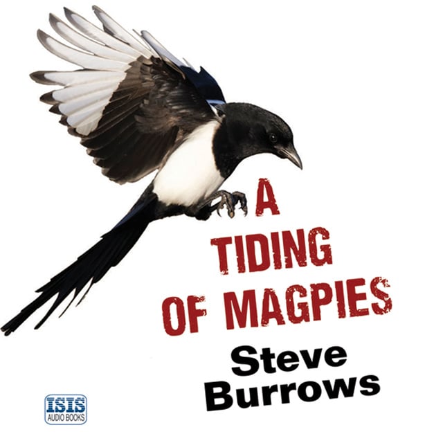 Steve Burrows - A Tiding of Magpies