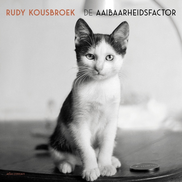 Rudy Kousbroek - De Aaibaarheidsfactor