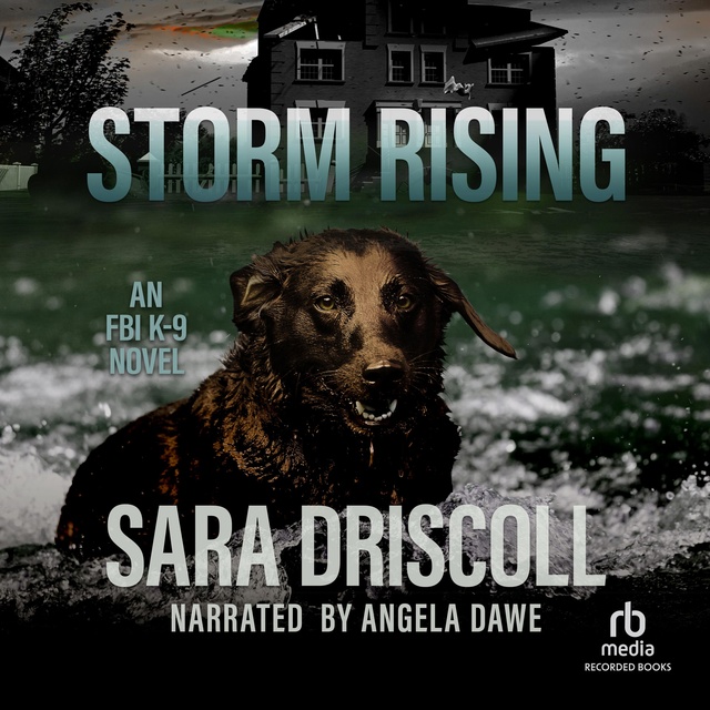 Sara Driscoll - Storm Rising