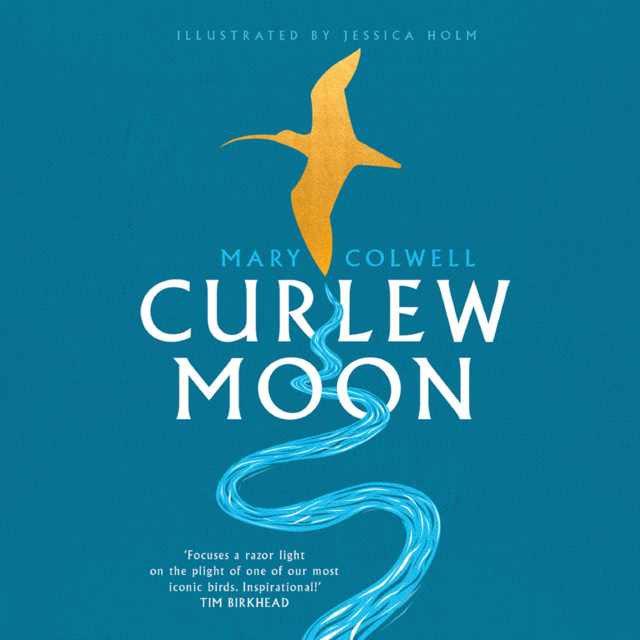 Mary Colwell - Curlew Moon