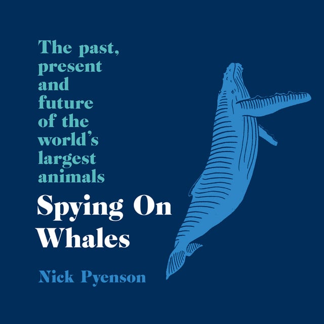 Nick Pyenson - Spying on Whales