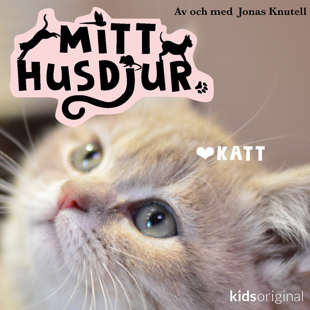 Jonas Knutell - Mitt husdjur: Katt