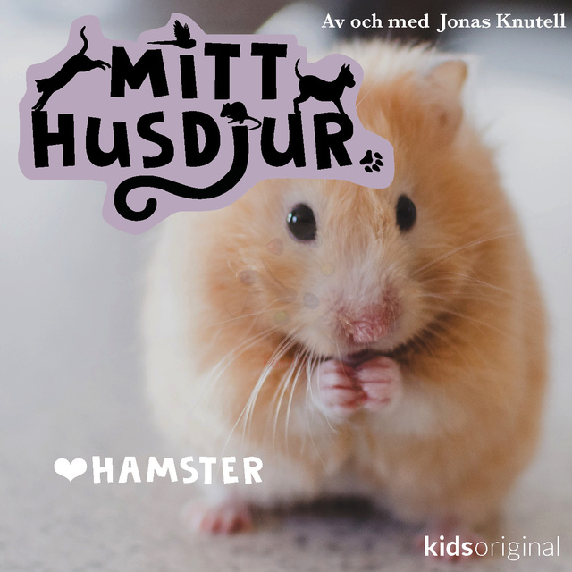 Jonas Knutell - Mitt husdjur: Hamster