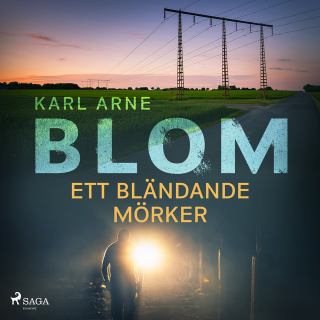 Karl Arne Blom - Ett bländande mörker