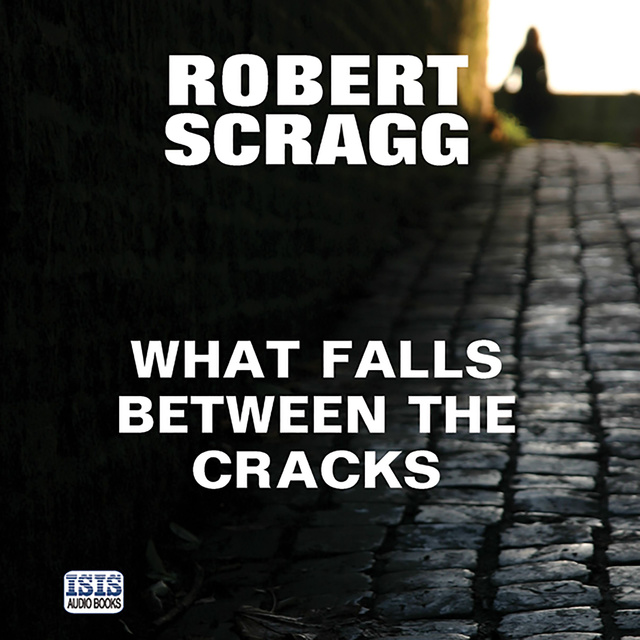 Robert Scragg - What Falls Between the Cracks
