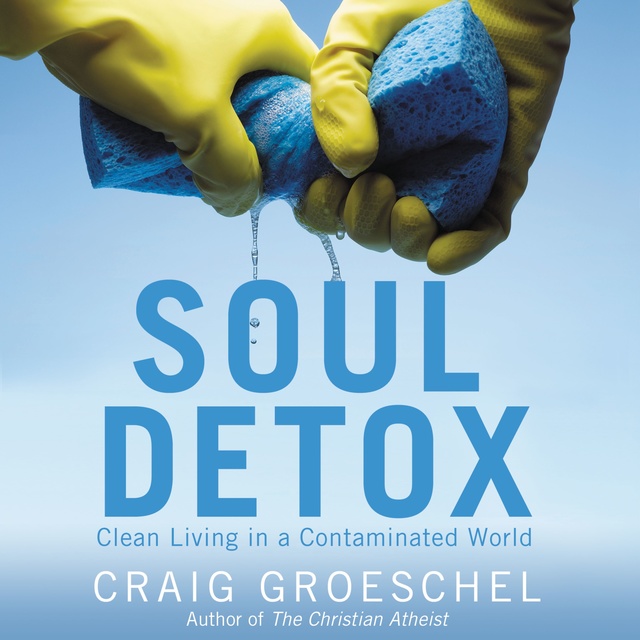Craig Groeschel - Soul Detox