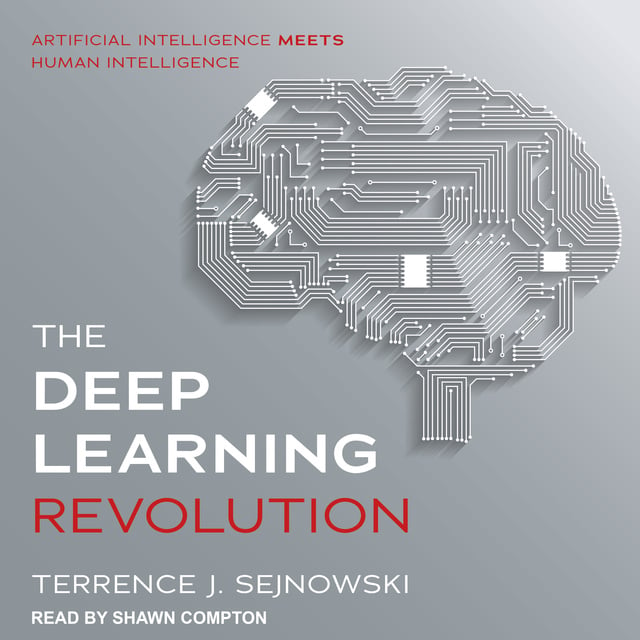 Terrence J. Sejnowski - The Deep Learning Revolution