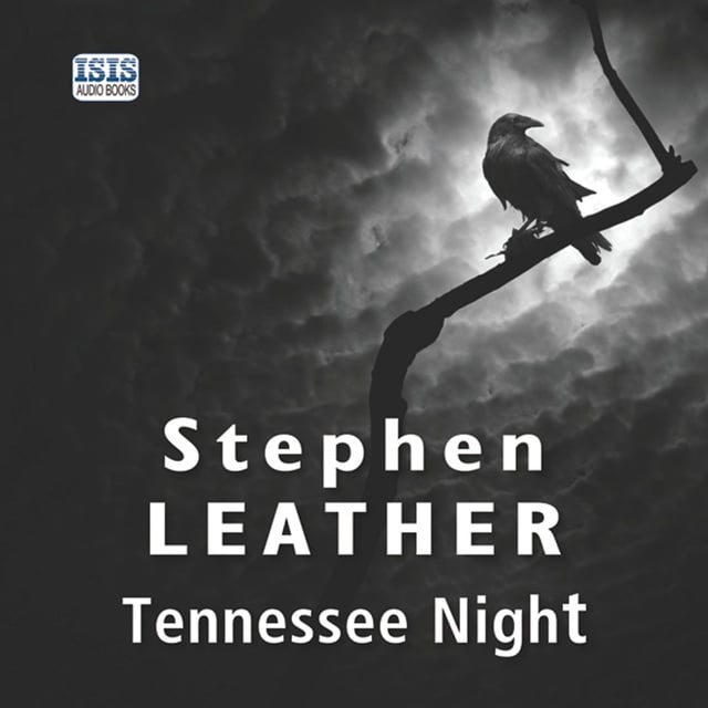Stephen Leather - Tennessee Night